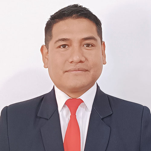 Prof. Mario Nina 